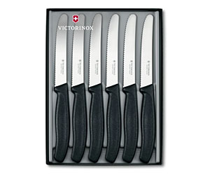 Set sei coltelli da tavola
